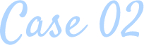 Case 02